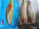 海名威 冷冻黄花鱼700g/2条 宁德大黄鱼 海鱼 生鲜鱼类 海鲜水产 中秋 实拍图