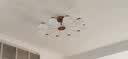雷士（NVC）简约原木法式泡芙灯罩客厅智能舒适光100W吊灯WHDD100F/G-05 实拍图