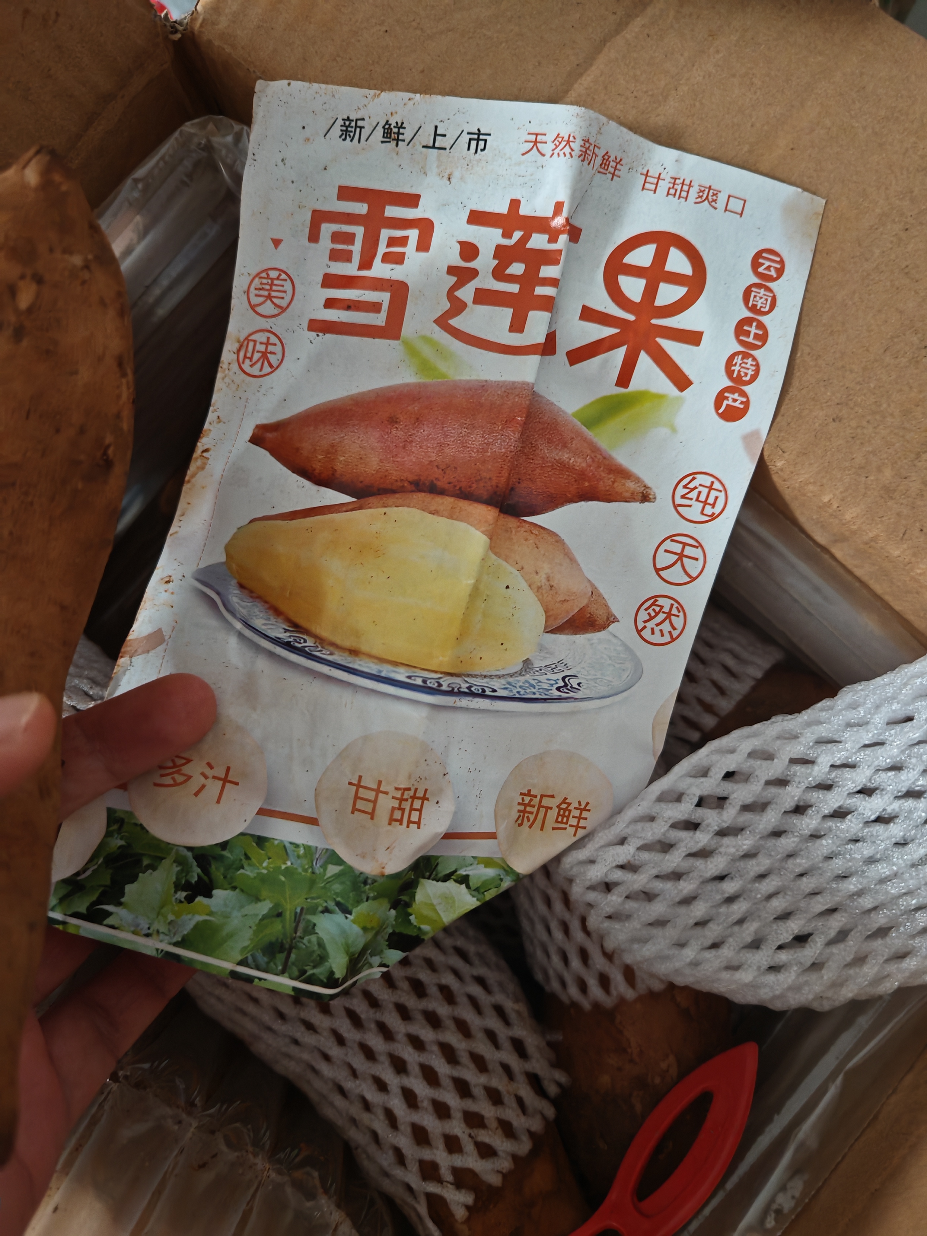京地达云南雪莲果水果净重4.5斤单果150g+黄心雪莲水果源头直发包邮  实拍图