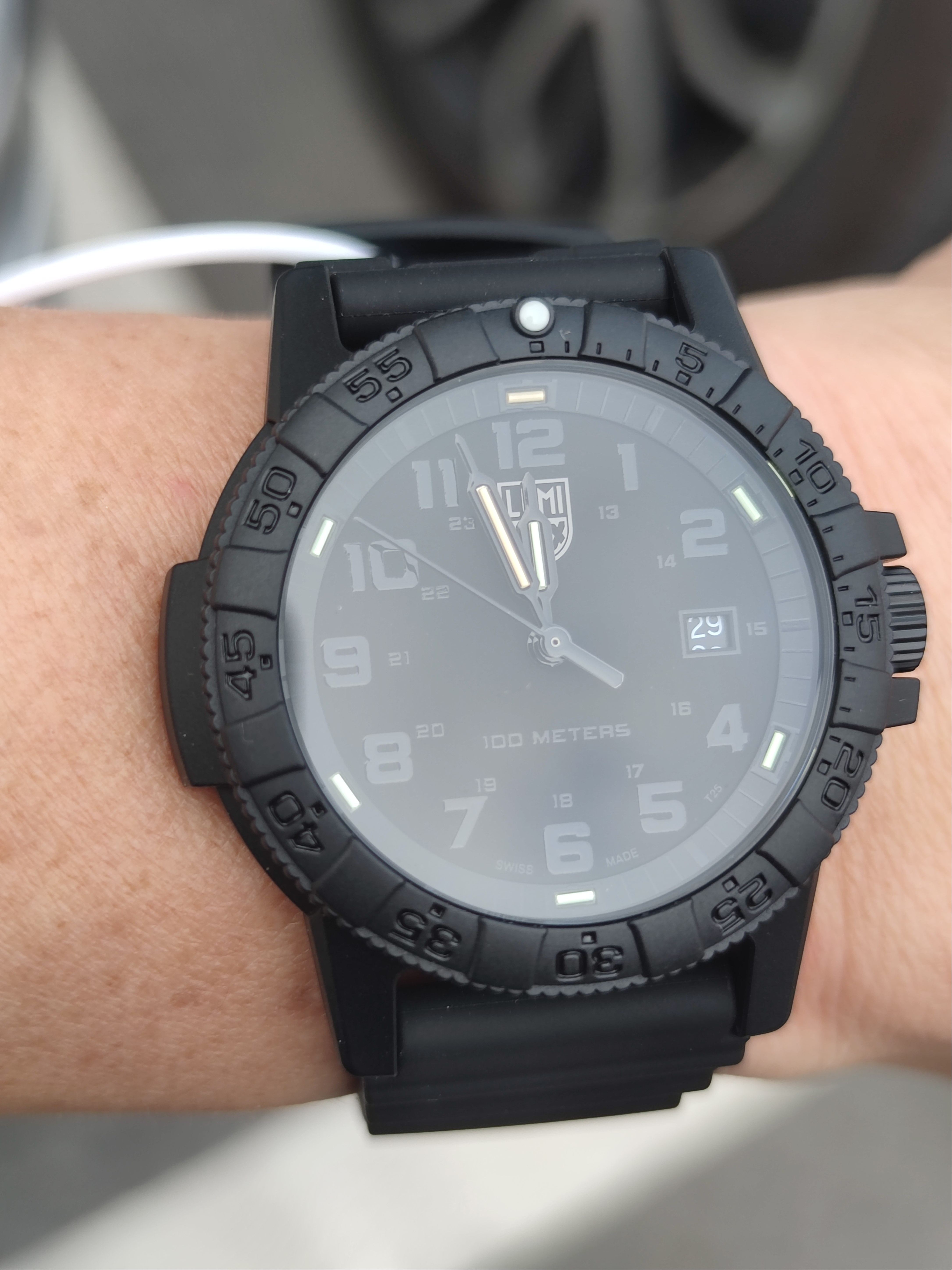 雷美诺时（Luminox） 鲁美诺斯瑞士表 海龟系列户外运动防水100米石英手表男中秋礼物 XS.0321.BO.L 实拍图