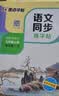 【2026新版开学季】墨点字帖荆霄鹏 七年级上册语文同步练字帖 人教版小学生硬笔生字描红本 每日一练 附赠听写默写本 视频直播跟练 实拍图