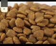 伯纳天纯中大型犬全价成年犬粮金毛宠物主粮羊肉蔓越莓15kg囤货装 实拍图