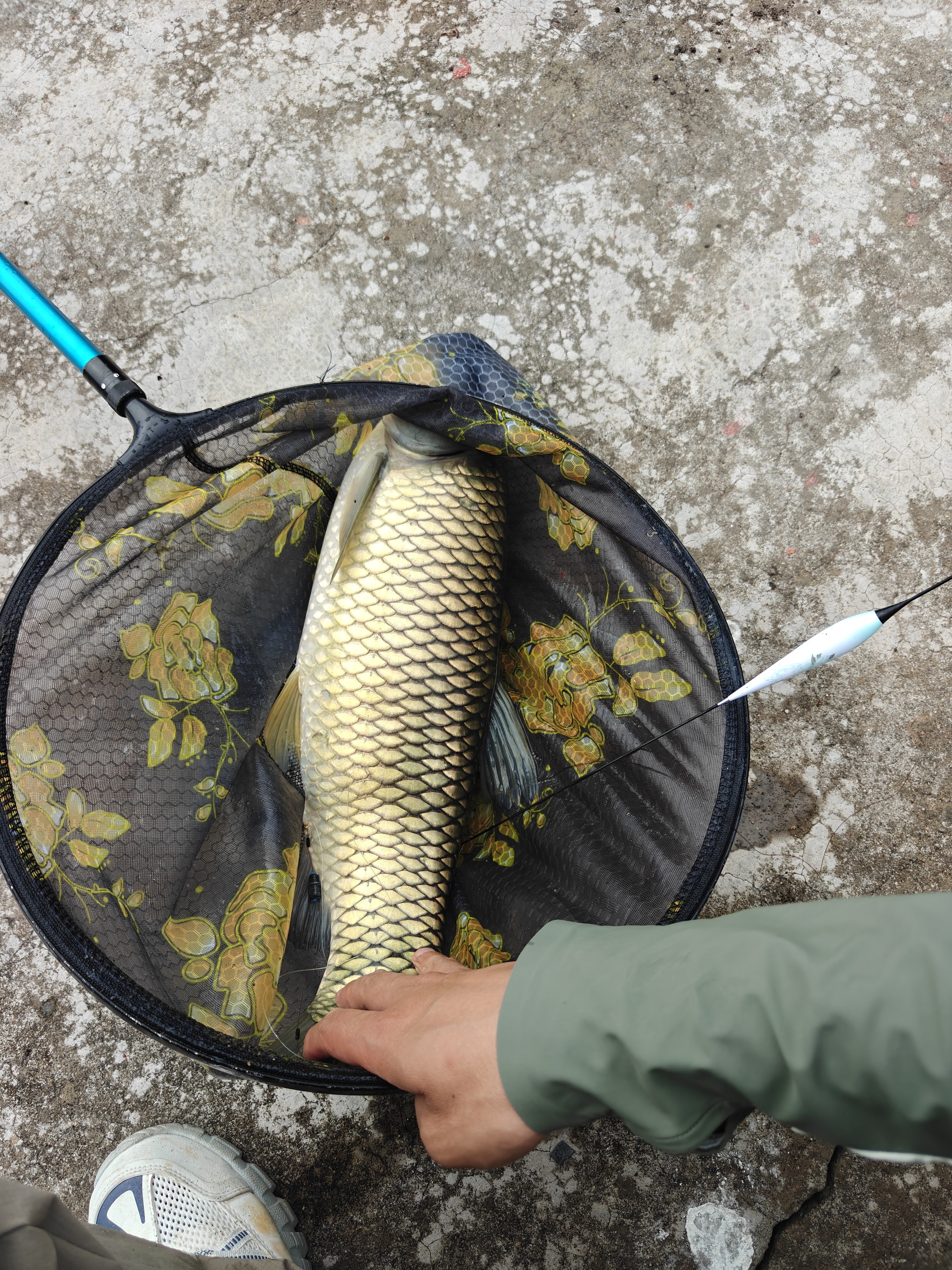 创威凌天非凡大师极轻小综合超轻鱼竿台钓竿钓鱼竿手竿鲢鳙鱼竿大物竿 7.2m 小综合 实拍图