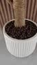 史丹利中号陶粒垫底小陶粒土养花专用多肉花用铺面花盆花卉种花园艺5L 实拍图