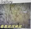 DELIISTON英国生姜防脱洗发水防脱发固发滋养头发密控油去屑持久蓬松300ml 【一瓶防脱、三瓶增密】正品有防伪 无效全额退 实拍图