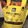 史丹利椰糠砖650g 椰土砖椰砖营养土脱盐花土耶砖种菜通用型 实拍图