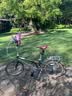 大行（DAHON）D10折叠自行车20英寸10速成人复古单车HAC003 橄榄绿 实拍图
