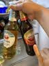 喜力旗下  红爵Extra啤酒460ml*12瓶整箱装   欧洲风范夏日欢聚送礼 实拍图