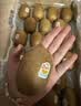 佳沛（zespri）金奇异果25粒原箱特大果134-146g猕猴桃中秋节礼品送水果礼盒 实拍图
