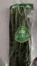 七鲜24小时绿色韭菜 250g 实拍图