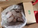 绿养道现货【顺丰快递】云南蒙自枇杷果2斤净重 单果20g+ 新鲜水果 实拍图