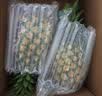 佳农菲律宾进口菠萝2个装 凤梨 单果净重2斤 生鲜水果 中秋送礼 实拍图