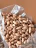 享食兔瘪花生1000g甘甜生花生山东特产干瘪花生米仁2026小花生米新货 实拍图
