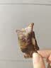 宁鑫宁夏盐池滩羊肉 原切羊小排454g 烧烤炖煮食材 地理标志产品清真 实拍图