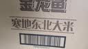 金龙鱼 寒地东北大米 10斤*4/整箱装 实拍图