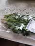 带根香菜100g 实拍图