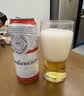 百威【梅西同款】红罐啤酒450ml 18罐整箱【部分饮用至27年4月】 实拍图