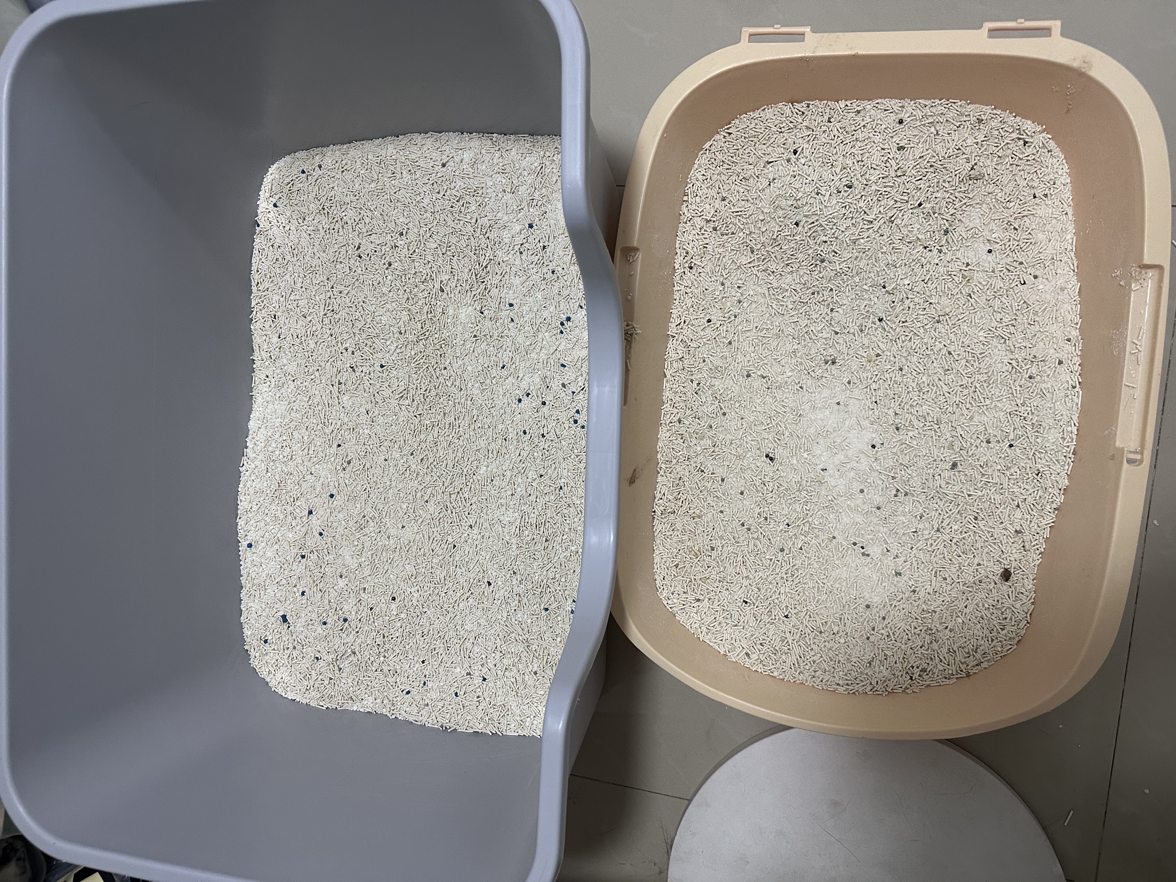 城市理享樱花白茶豆腐膨润土木薯混合猫砂2.5kg*4 除臭低尘瞬吸结团不粘底 实拍图