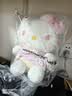Hello Kitty三丽鸥毛绒玩具玩偶布娃娃抱枕摆件生日礼物送女生女孩凯蒂猫公仔 实拍图