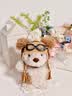 Jellycat小猪可爱公仔动物毛绒陪伴女生玩偶安抚儿童娃娃玩具送礼生日礼物 小狗 Little 晒单实拍图