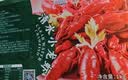 洪湖渔家清水小龙虾（3-5钱净虾2.7kg）3kg送晓飞歌料包 无添加26年新虾 实拍图