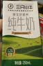 现代牧业三只小牛纯牛奶250ml*24盒整箱装 100%生牛乳早餐 实拍图
