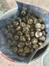 忆江南茶叶茉莉花茶茉莉龙珠200g茉莉绣球春茶自饮罐装浓香型 实拍图