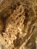 统一小浣熊 滋滋烤肉味干脆面 35g*30包 整箱装儿时美食干脆面方便面 实拍图