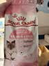 皇家猫粮 幼猫奶糕 幼猫猫粮 BK34 通用粮 1-4月 2KG 实拍图