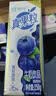 蒙牛真果粒蓝莓味牛奶饮品250g*12盒 新老包装 中秋送礼礼盒 实拍图