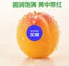 新疆吊干杏约400g 实拍图