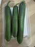 【水果菜】荷兰水果黄瓜约400g 实拍图