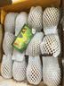 佳沛（zespri）新西兰金奇异果12粒特大果124-146g猕猴桃中秋节礼品送水果礼盒 实拍图