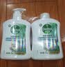 滴露（Dettol）洗手液液体经典松木500g+500g补充装儿童家庭护手替换 实拍图