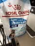 皇家狗粮幼犬狗粮幼犬奶糕宠物大型犬MAJ30全价犬粮2-15月4KG 实拍图