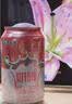 西域春新疆风味奶啤整箱300ml*12罐聚会畅饮白桃味风味饮料新疆老字号 实拍图