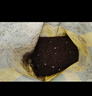 史丹利花土营养土6L 养花通用型多肉兰花专用种菜种花家用泥炭土壤种植 实拍图