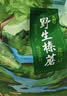 森百味东北特产礼盒南北干货蘑菇菌菇汤包野生榛蘑松蘑香菇羊肚菌鹿茸菇 野生榛蘑250g*1袋 实拍图