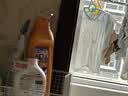 绿驰60球香樟木鞋衣柜子驱蟑螂防虫蛀去霉潮湿剂卫生条块除臭味樟脑丸 实拍图