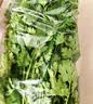带根香菜100g 实拍图