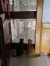 LEGENDSANDY蓝氏 全价猫粮成猫幼猫生骨肉冻干粮猎鸟乳鸽系列兔肉口味1.5kg*3 实拍图
