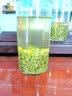 保银茶叶国庆节送礼信阳毛尖新绿茶明前头采手工芽尖500g礼盒源头直发 实拍图