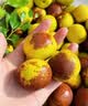 京地达陕西大荔冬枣 净重5斤果王礼盒 单果22g+ 脆甜鲜枣 源头直发 实拍图