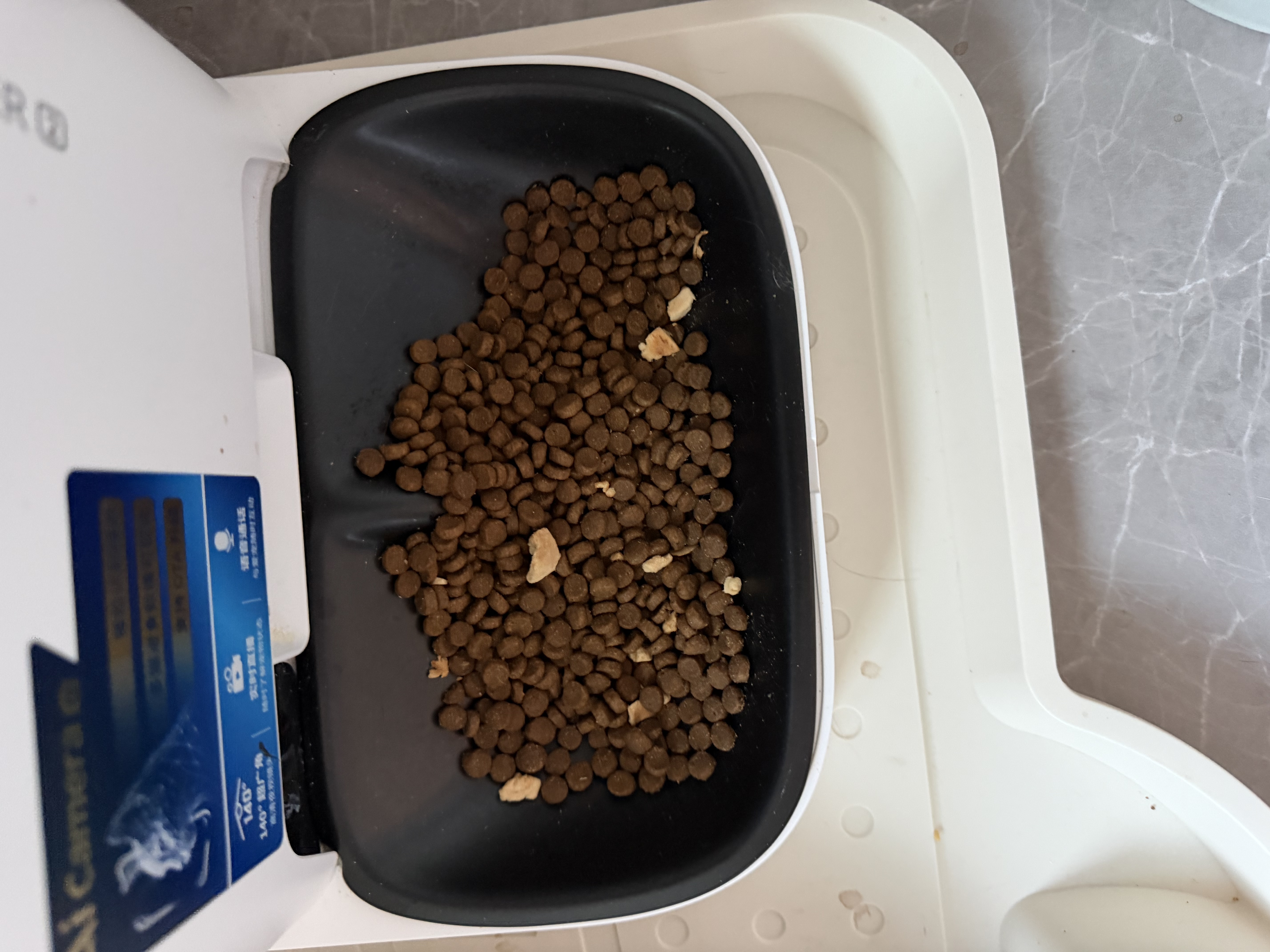 素力高（SolidGold）猫粮美毛进口高蛋白鳕鱼鱼油猫粮12磅/5.44kg 实拍图