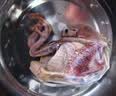 硒全食美无抗富硒汤鸽净重520g（2只）冷冻鸽子滋补煲汤烧烤生鲜鸽子 实拍图