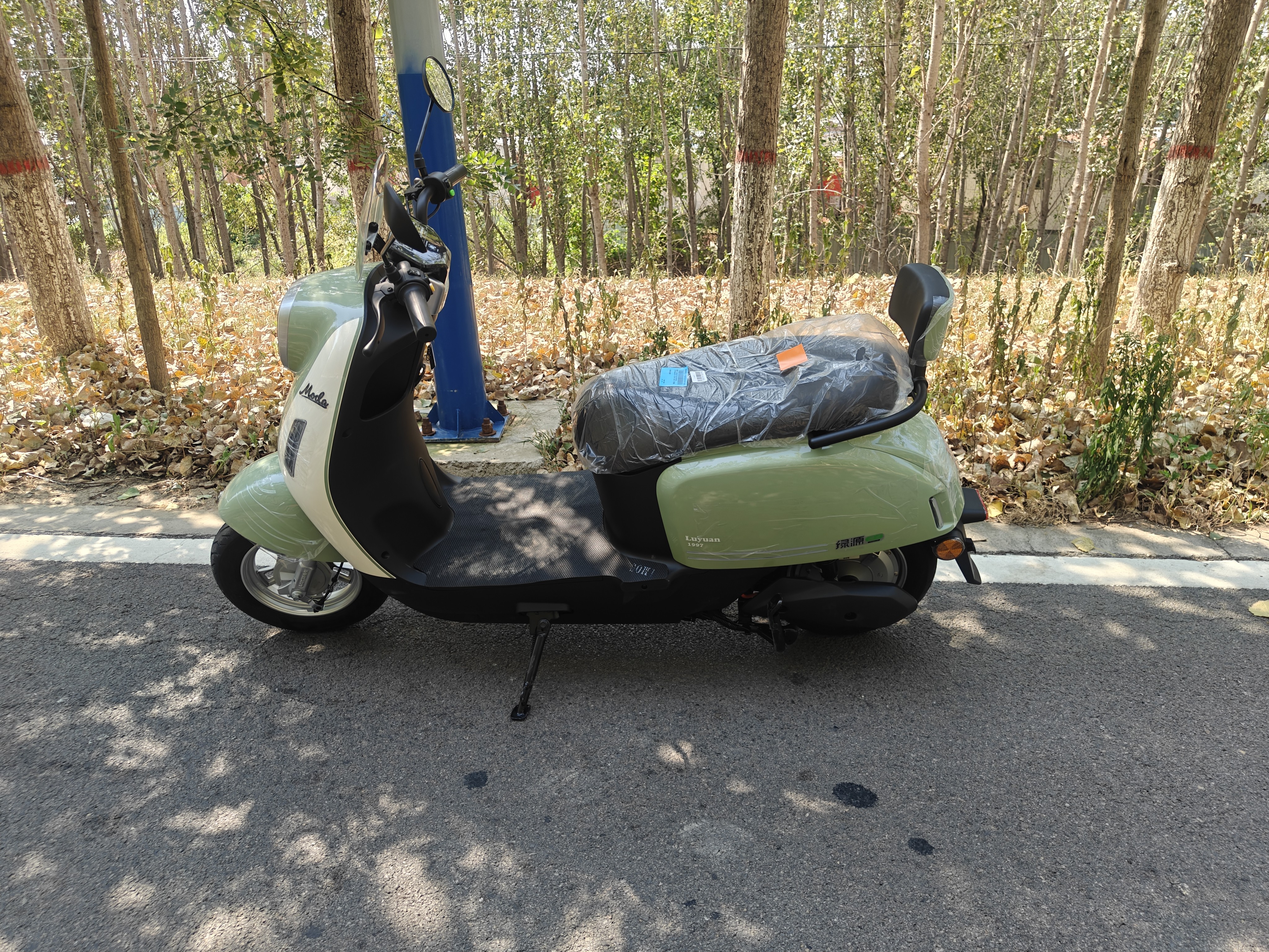 绿源（Luyuan）电动摩托车M7U74公里长续航国民好车60V5块铅酸电池大动力1000W电机电瓶车代步通勤维亚绿 实拍图