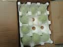 京觅陕西蒲城冰糖早酥梨子新鲜水果净重4.5斤单果160g+源头直发包邮 实拍图