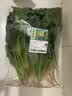 兰州菠菜350g 实拍图
