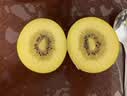 佳沛（zespri）新西兰金奇异果12粒特大果124-146g猕猴桃中秋节礼品送水果礼盒 实拍图