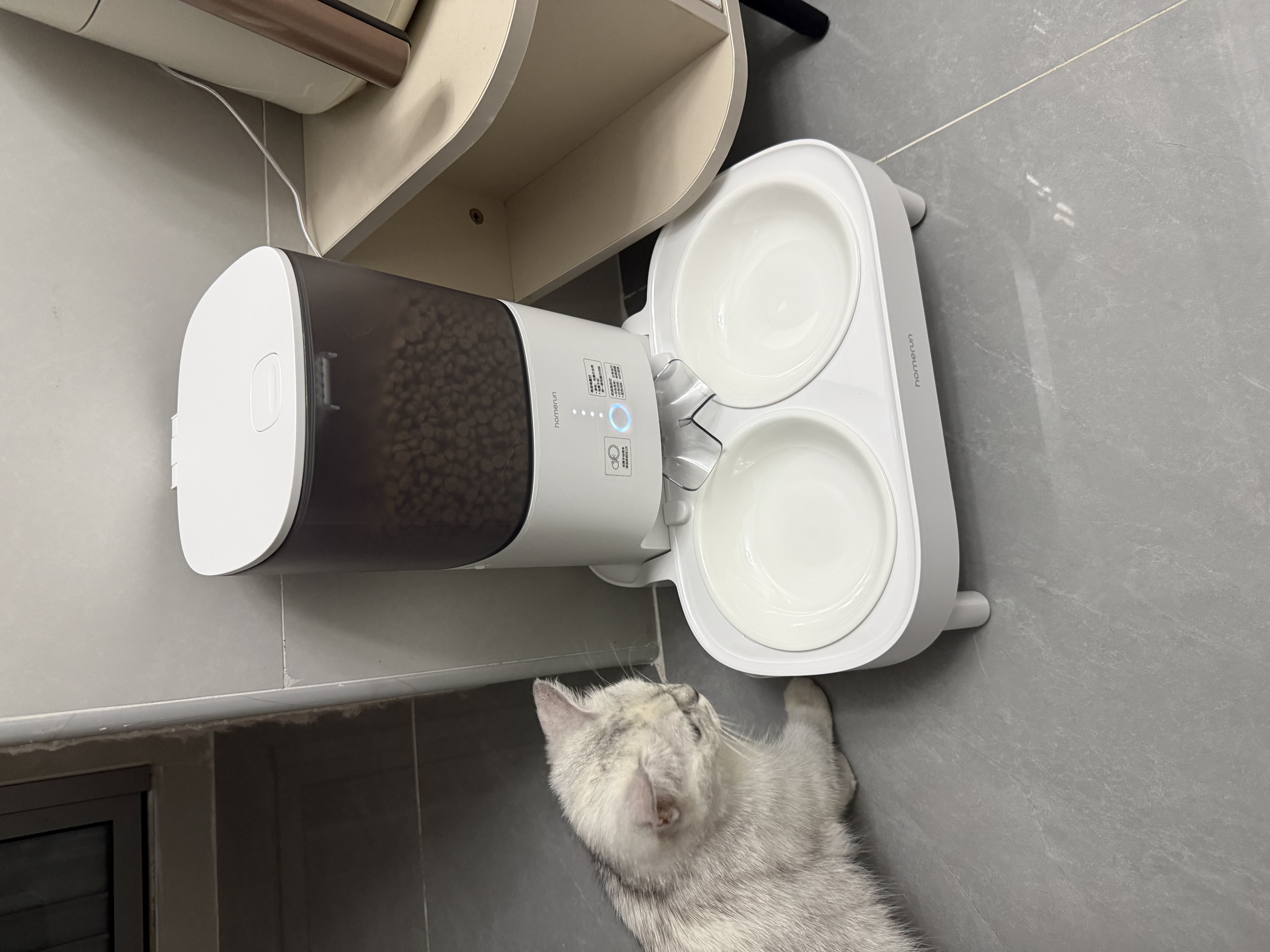 霍曼（Homerun）宠物智能自动喂食器猫粮定时猫咪自动投食机陶瓷双碗增高版PF20 实拍图